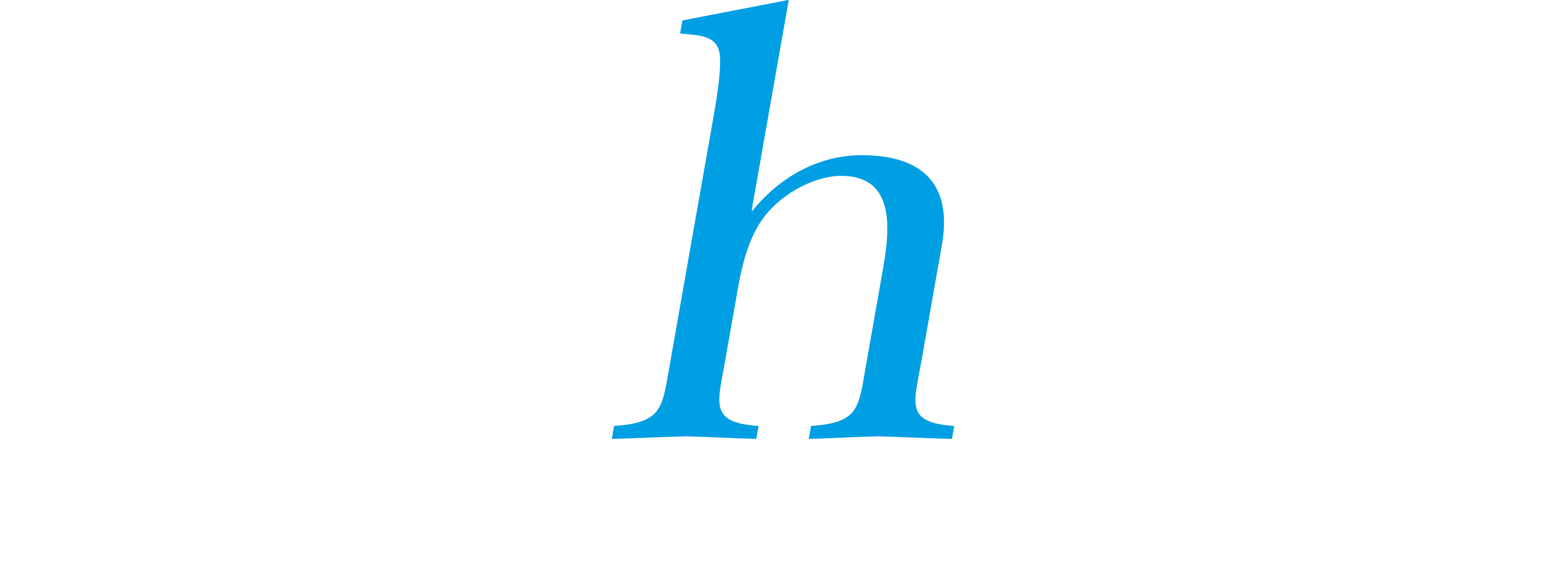 mhm Strategy & Consulting Services, S.C.